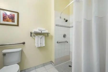 Clarion Inn & Suites Central Clearwater Beach - 13