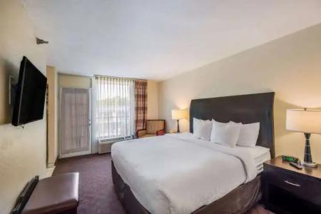 Clarion Inn & Suites Central Clearwater Beach - 66