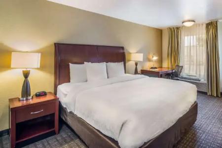 Clarion Inn & Suites Central Clearwater Beach - 49