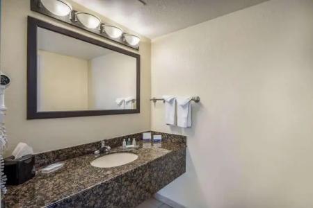 Clarion Inn & Suites Central Clearwater Beach - 12
