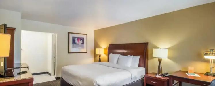 Clarion Inn & Suites Central Clearwater Beach - 56