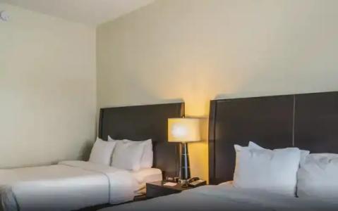 Clarion Inn & Suites Central Clearwater Beach - 62