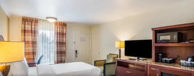 Clarion Inn & Suites Central Clearwater Beach - 37