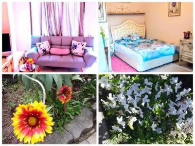 Batumi Wonderland Guest House - 48