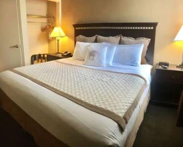 Hawthorn Suites by Wyndham - 3