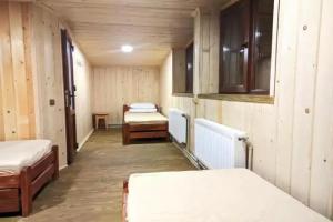 Camp Bilyi Slon, Verkhovyna