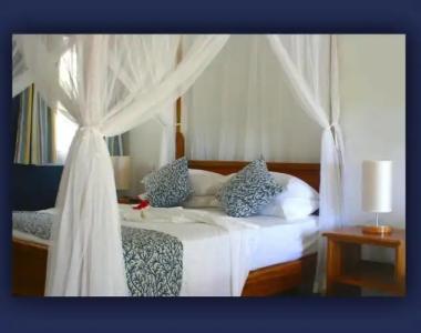 L'Hirondelle Self Catering Guest House - 16