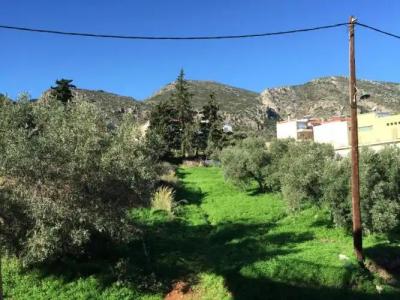 Monemvasia Green Apartments - 146