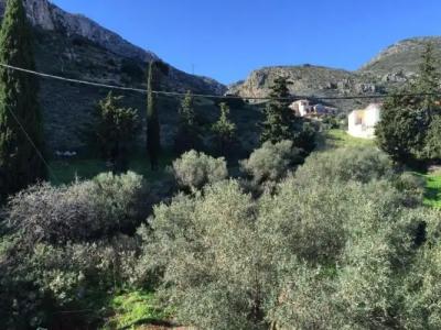 Monemvasia Green Apartments - 31