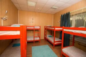 Kangaroo Hostel, Moscow