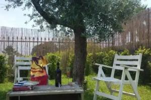 I Colori del Sole, Zafferana Etnea