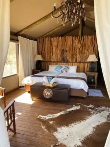 Windhoek Game Camp - 21