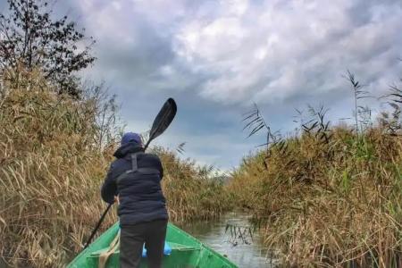 Gardenland Resort - 31