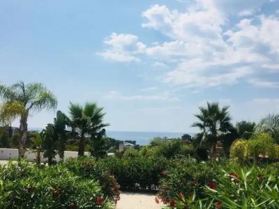 Portals Hills Boutique - 49