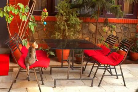 Royal Atlantic Home - 28