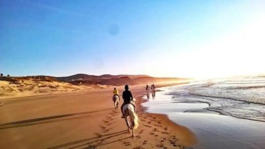 Villa L'Oiseau Bleu - 18