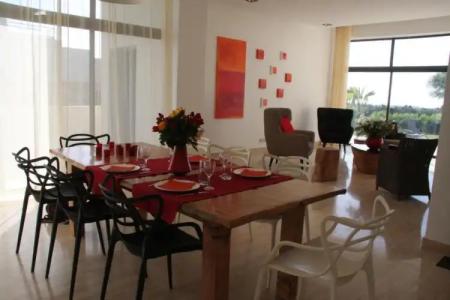 Villa L'Oiseau Bleu - 16