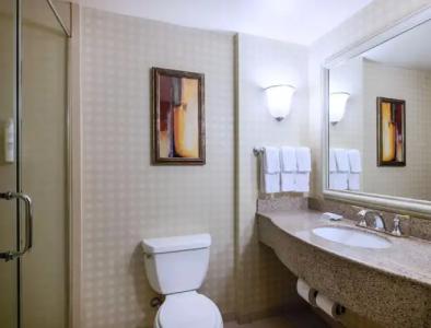 Club Wyndham Desert Blue - 20