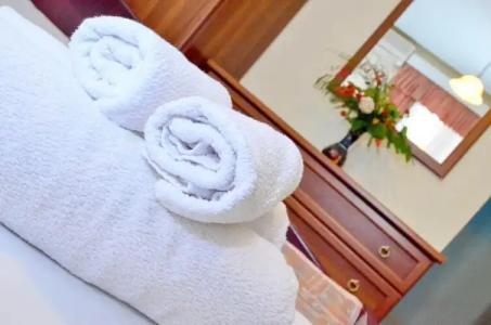 Villa Velzon Guesthouse - 42