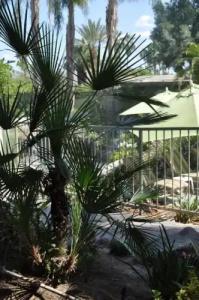 Vista Grande Resort - A Gay Men's Resort - 124