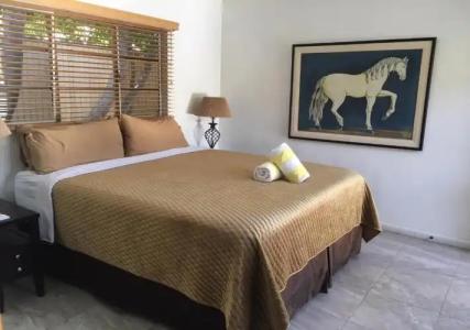 Vista Grande Resort - A Gay Men's Resort - 37