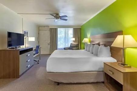 Papago by Reside, Trademark Collection by Wyndham - 47