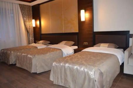 Sarikamis White Park - 30