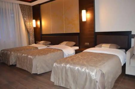 Sarikamis White Park - 2