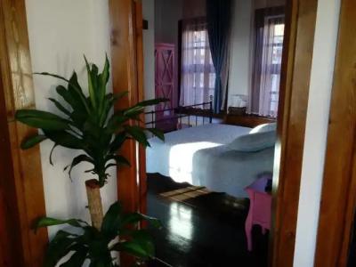 ARİSTONİCUS BUTİK - 5