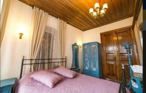 ARİSTONİCUS BUTİK - 1