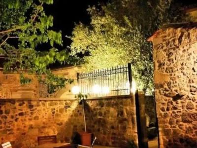 ARİSTONİCUS BUTİK - 31