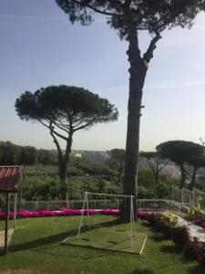 Zia Bi Bed And Breakfast - 43