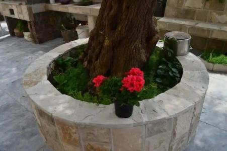 Vila Maslina Guesthouse - 31