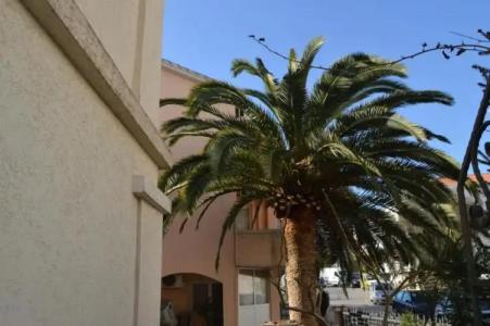 Vila Maslina Guesthouse - 41