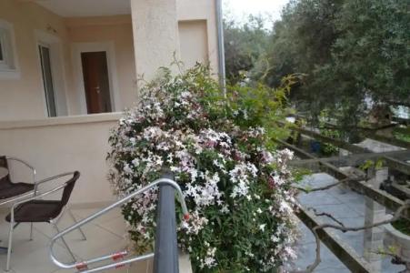 Vila Maslina Guesthouse - 30