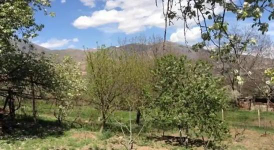 Astghik guest house - 5