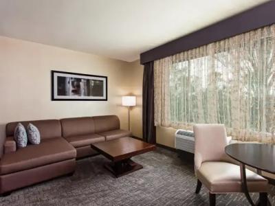 Holiday Inn Express & Suites ANAHEIM RESORT AREA by IHG - 31