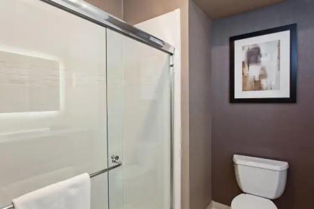 Holiday Inn Express & Suites ANAHEIM RESORT AREA by IHG - 8