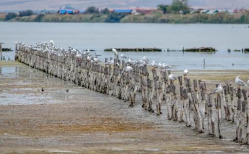 Guest House Nadin - 37