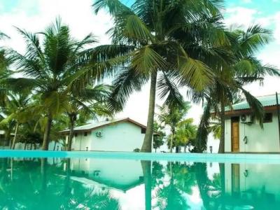 Pearl Oceanic Resort - - 6