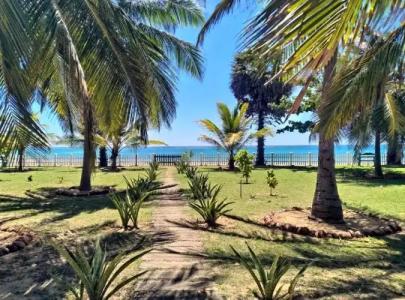 Pearl Oceanic Resort - - 19