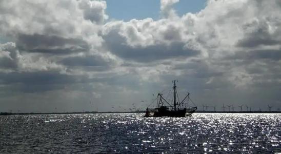 Pension Seestern - 10