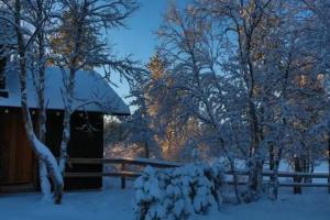 Wilderness Hotel Muotka & Igloos, Saariselka