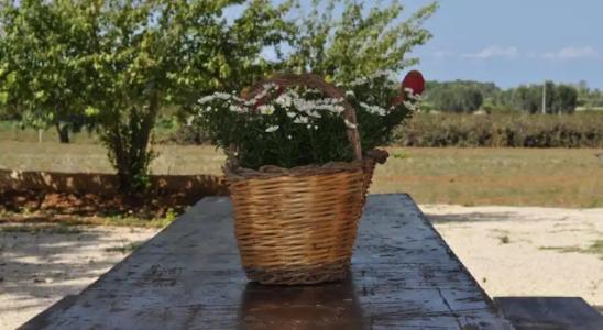 Agriturismo Tenuta Muzio - 2