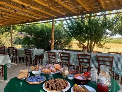 Agriturismo Tenuta Muzio - 12