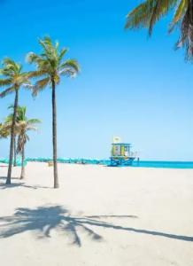 Margaritaville Hollywood Beach Resort - 47