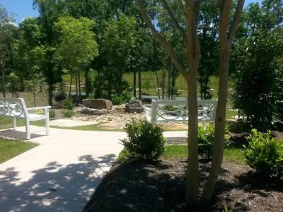 Dollywood's DreamMore Resort - 14