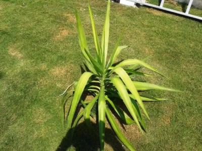 Lighthouse Nadia Aparts - 102