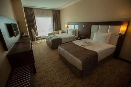 Mitannia Regency - 65