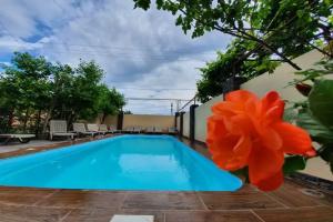 Guest House Ani, Berehove